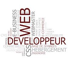 Logo Développeur Web : l'homme (ou la femme) qui met les mains sous le capot... 